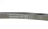 Ремень генератора VW Crafter 2.5TDI 06-13/MB C-class (W204)/E-class (W212) 2.2CDI 09-15 Contitech 6PK2000 (фото 4)