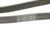 Ремінь генератора MB Vito OM601/602 (AC)/ M111 (PS) Contitech 6PK2013 (фото 3)