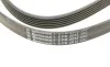 Ремінь генератора MB Vito OM601/602 (AC)/ M111 (PS) Contitech 6PK2013 (фото 4)