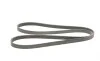 Ремінь генератора MB Vito OM601/602 (AC)/ M111 (PS) Contitech 6PK2013 (фото 5)