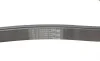 Ремінь генератора MB Vito OM601/602 (AC)/ M111 (PS) Contitech 6PK2020 (фото 3)