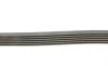 Ремень генератора MB C-class 2.0 00-02 (M111) Contitech 6PK2035 (фото 2)
