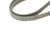 Ремень генератора MB C-class 2.0 00-02 (M111) Contitech 6PK2035 (фото 3)