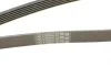 Ремень генератора MB C-class 2.0 00-02 (M111) Contitech 6PK2035 (фото 4)