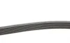 Ремень генератора MB C-class (W202) 93-01/E-class (W124) 93-98/Ssangyong Korando 96-06/Dodge 06- Contitech 6PK2040 (фото 2)