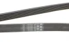 Ремень генератора MB C-class (W202) 93-01/E-class (W124) 93-98/Ssangyong Korando 96-06/Dodge 06- Contitech 6PK2040 (фото 3)