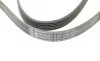 Ремень генератора MB C-class (W202) 93-01/E-class (W124) 93-98/Ssangyong Korando 96-06/Dodge 06- Contitech 6PK2040 (фото 4)
