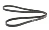 Ремень генератора MB C-class (W202) 93-01/E-class (W124) 93-98/Ssangyong Korando 96-06/Dodge 06- Contitech 6PK2040 (фото 5)