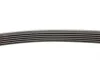 Пас поліклиновий Hyundai Santa Fe/Kia Magentis 2.7 Contitech 6PK2055 (фото 2)