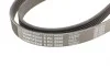 Пас поліклиновий Hyundai Santa Fe/Kia Magentis 2.7 Contitech 6PK2055 (фото 4)