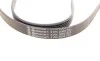 Ремень генератора Chevrolet Captiva 2.0D 06- Contitech 6PK2065 (фото 3)