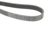 Ремінь генератора MB C-class (W202)/E-class (W210) 2.0-3.6 93-02/Kia Optima 2.0/2.4 10- Contitech 6PK2130 (фото 3)