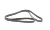Ремінь генератора MB C-class (W202)/E-class (W210) 2.0-3.6 93-02/Kia Optima 2.0/2.4 10- Contitech 6PK2130 (фото 4)