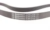Ремінь генератора MB C-class (W203) 00-02/E-class (W212) 11-15/S-class (W221) 11-13/Sprinter 2.9 Contitech 6PK2135 (фото 2)