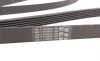 Ремінь генератора MB C-class (W203) 00-02/E-class (W212) 11-15/S-class (W221) 11-13/Sprinter 2.9 Contitech 6PK2135 (фото 3)