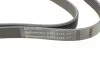 Ремень генератора VW LT 2.5TDI 96-06/Jeep Cherokee/Wrangler 2.4 01-08/BMW 5 (F10/F07/F11) 3.0D 10-17 Contitech 6PK2145 (фото 4)