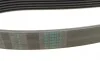 Ремінь генератора MB C-class (W202/W204)/E-class (W210/W212)/S-class (W221) 1.8/2.2 94-14 Contitech 6PK2155 (фото 3)