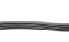 Ремінь генератора MB C-class (W203) 00-08 Contitech 6PK2190 (фото 2)