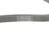 Ремінь генератора MB C-class (W203) 00-08 Contitech 6PK2190 (фото 3)