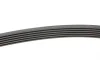 Ремень генератора VW T4 2.5TDI/LT 2.3 96-06/MB C-class (W204) 3.5 11-/V-class (W639) 2.2CDI 10- Contitech 6PK2215 (фото 2)