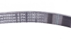 Пас привідний з довжиною кола понад 240см Contitech 6PK2230 (фото 2)