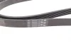 Ремінь генератора MB W202/211 2.0/2.2/2.7CDI Contitech 6PK2241 (фото 3)