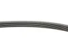 Ремень генератора MB W202/211 2.0/2.2/2.7CDI Contitech 6PK2245 (фото 2)