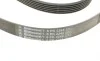 Ремень генератора MB W202/211 2.0/2.2/2.7CDI Contitech 6PK2245 (фото 3)