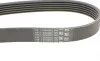 Ремінь генератора MB C-class (W202)/E-class (W211) 2.2CDI/2.7CDI 98-09 Contitech 6PK2250 (фото 3)