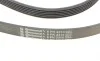 Ремень генератора Mazda 6 2.3 02-07/CX-7 2.5MZR 09-13/Jaguar XF/XJ 3.0D 09-/Saab 900 II 2.5 93-98 Contitech 6PK2310 (фото 3)