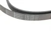 Ремень генератора Land Rover Discovery III 4.4 04-13/Cadillac Escalade 6.0 01-06 Contitech 6PK2345 (фото 4)