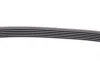 Ремінь генератора MB W124/W164 Contitech 6PK2360 (фото 4)