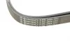 Комплект паса поликлинового Audi A4/A6/A8/VW Pass Contitech 6PK2404K1 (фото 4)