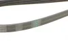 Ремінь генератора MB E-class (W211) 5.5 02-08 (M113)/Land Rover Range Rover 5.0SCV8 13- Contitech 6PK2445 (фото 3)