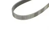 Ремінь генератора MB E-class (W211) 5.5 02-08 (M113)/Land Rover Range Rover 5.0SCV8 13- Contitech 6PK2445 (фото 4)