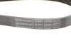 Ремень генератора Hyundai Santa Fe 12-15/Jeep Patriot 2.4 08- Contitech 6PK2550 (фото 4)