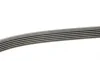 Ремень генератора Jeep Cherokee/Liberty 2.5CRD/2.8 CRD 01- Contitech 6PK2870 (фото 3)