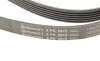Ремень генератора Jeep Cherokee/Liberty 2.5CRD/2.8 CRD 01- Contitech 6PK2870 (фото 4)