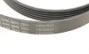 Ремень генератора Jeep Cherokee/Liberty 2.5CRD/2.8 CRD 01- Contitech 6PK2870 (фото 5)