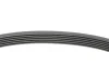 Ремінь генератора Seat Ibiza/Skoda Fabia/Rapid/Citigo/VW Polo/Up 1.0/1.6 14- (-AC) Contitech 6PK701 ELAST (фото 2)
