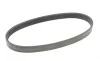 Ремінь генератора Seat Ibiza/Skoda Fabia/Rapid/Citigo/VW Polo/Up 1.0/1.6 14- (-AC) Contitech 6PK701 ELAST (фото 5)