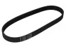 Ремінь генератора Seat Ibiza/Skoda Fabia/Rapid/Citigo/VW Polo/Up 1.0/1.6 14- (-AC) Contitech 6PK701 ELAST (фото 6)