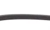 Ремень генератора VW Caddy III 1.4/1.6 04-/Golf/Polo 1.2/1.4TSI 12-/Audi A3 1.2/1.4TFSI 13- Contitech 6PK737 (фото 3)