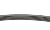 Пас поліклиновий Peugeot Partner 1.8/VW Polo 1.0-1 Contitech 6PK751 (фото 2)