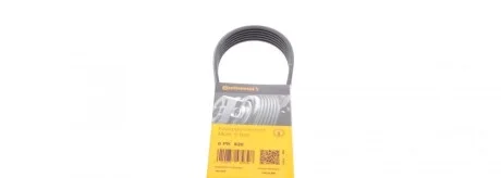 Дорожный ремень Contitech 6PK820