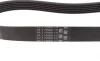 Ремень генератора Ford Transit 2.0Di/TDCi 00- (-AC) Contitech 6PK831 ELAST (фото 2)