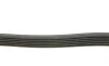Доріжковий ремінь Contitech 6PK831 ELAST T1 (фото 7)