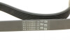Дорожный ремень Contitech 6PK831 ELAST T1 (фото 9)