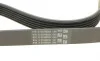 Доріжковий ремінь Contitech 6PK831 ELAST T1 (фото 9)