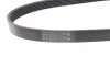Ремінь генератора VW Golf VI/Caddy III 1.6-2.0 TDI 10-/Skoda Octavia 09-13/Audi A3 1.6/2.0TDI 03-13 Contitech 6PK842 ELAST (фото 2)
